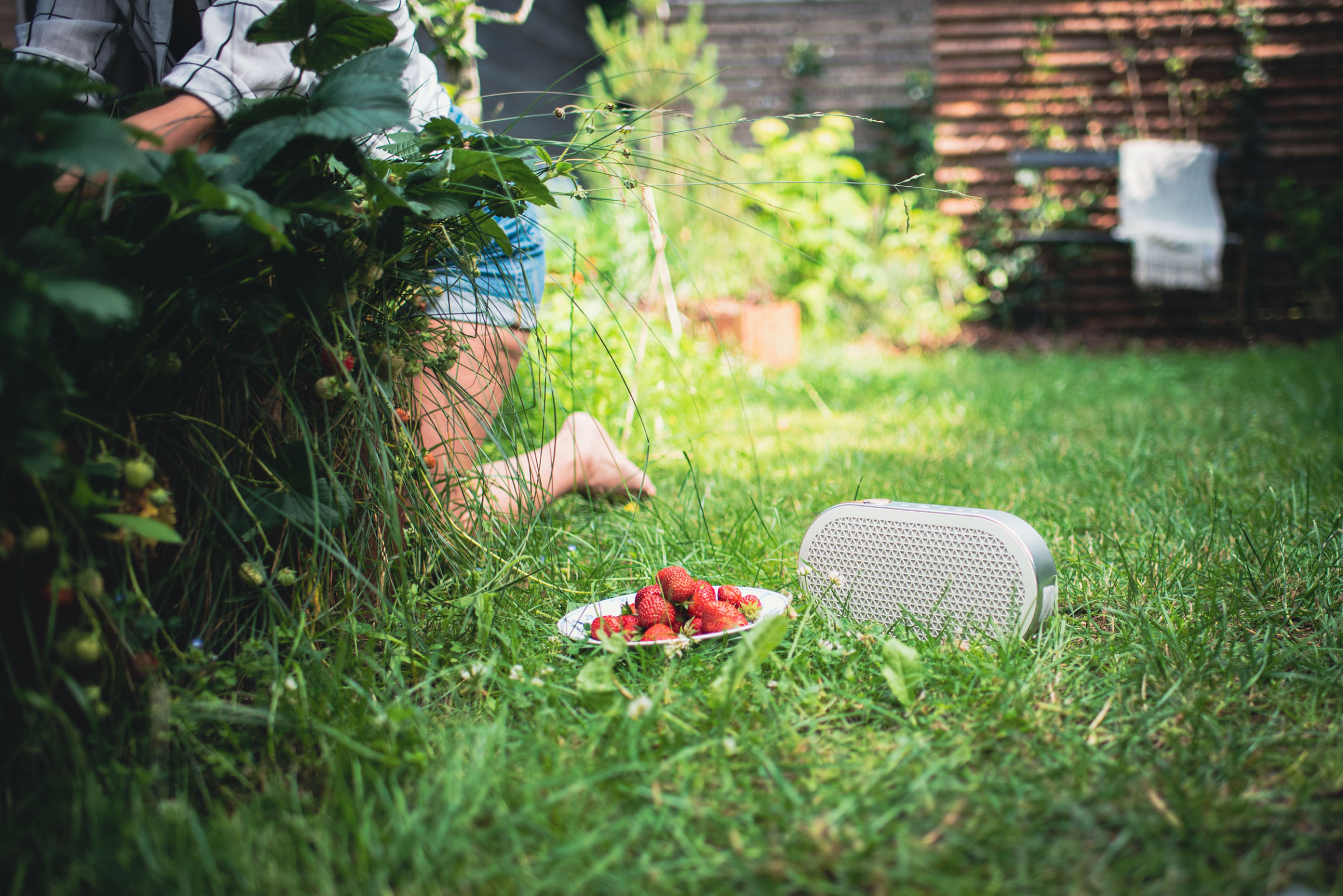 Auditorium Dali Katch G2 Bluetooth Lautsprecher 292660 - 5