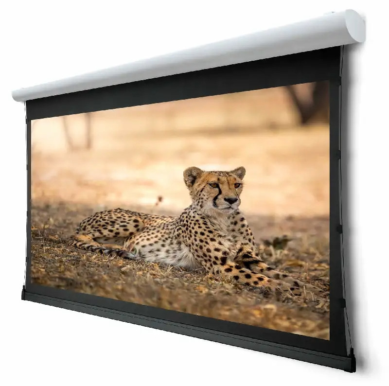 Auditorium Spalluto WS P Design GrandCinema HD 16:9 BE/BL 1.3 210092 - 1