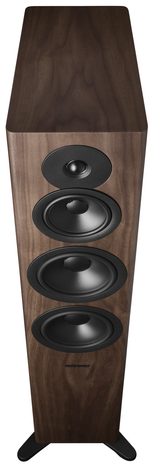 Auditorium Dynaudio Evoke 50  285466 - 4