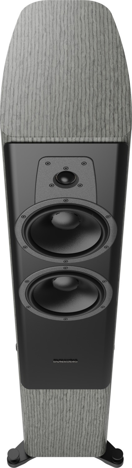 Auditorium Dynaudio Contour 30i Standlautsprecher  201809 - 4