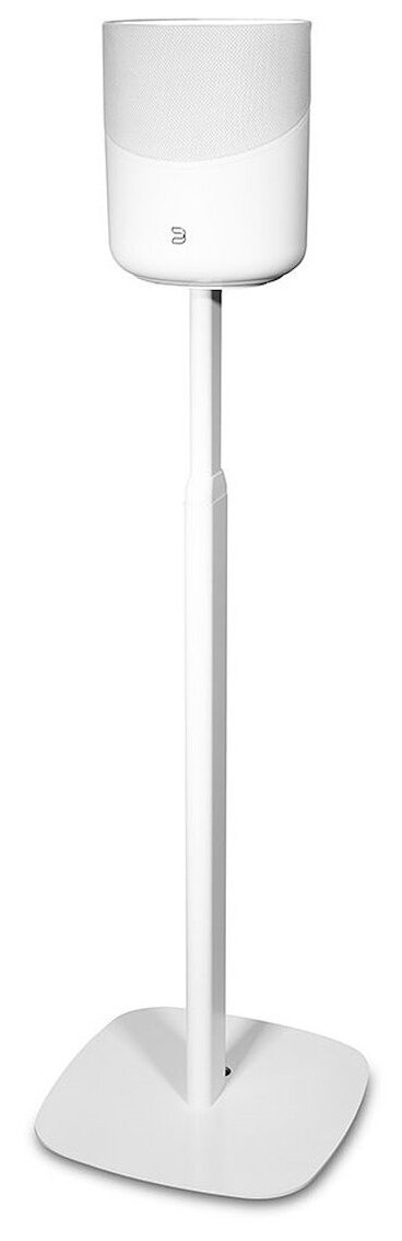 Auditorium BlueSound Floor Stand FS 231  215718 - 1