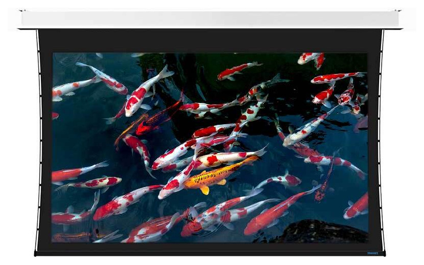 Auditorium Stewart Cascade G2 16:9 1245mm x 2210mm 214582 - 1