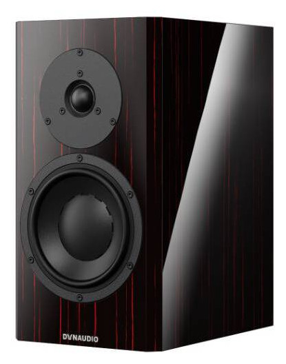 Auditorium Dynaudio Special Forty  292294 - 1
