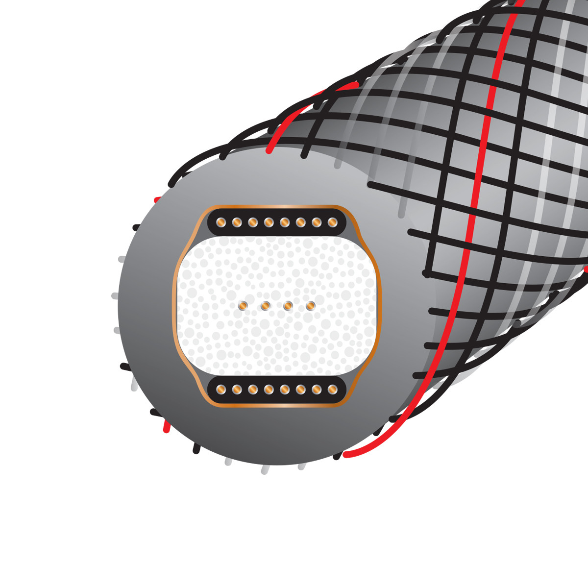 Auditorium Wireworld Cable Silver Starlight 10 Digital Audio RCA 75 Ohm 209069 - 4