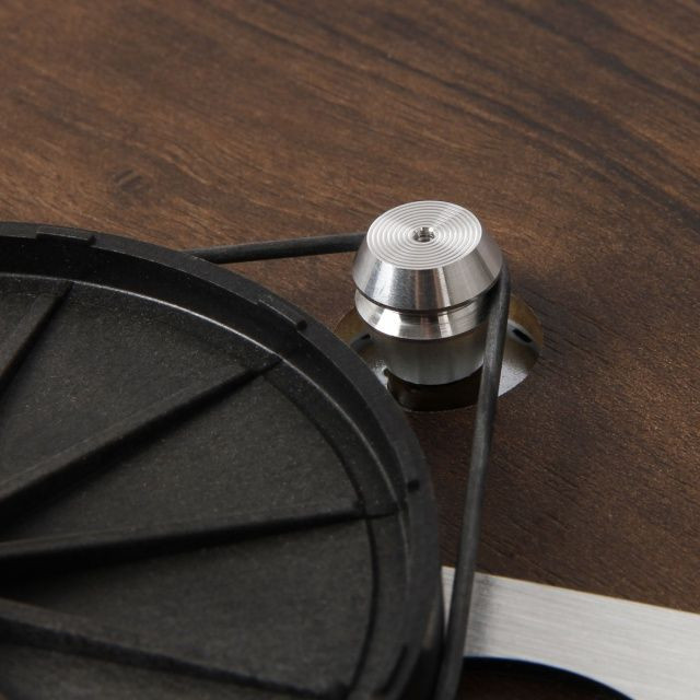 Auditorium Rega Planar 3 50th Anniversary Edition Walnuss 299763 - 7