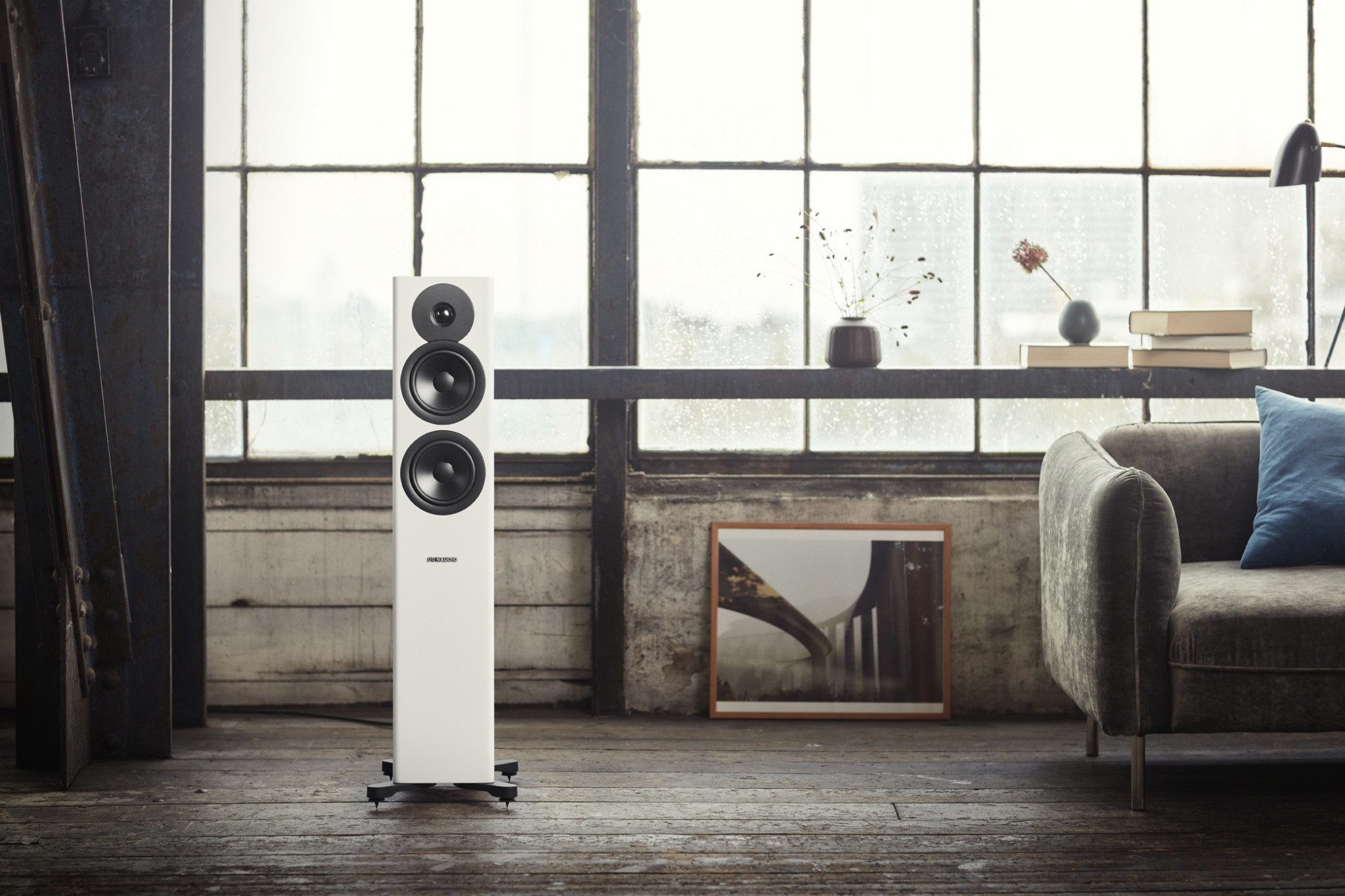 Auditorium Dynaudio Evoke 30  285463 - 6