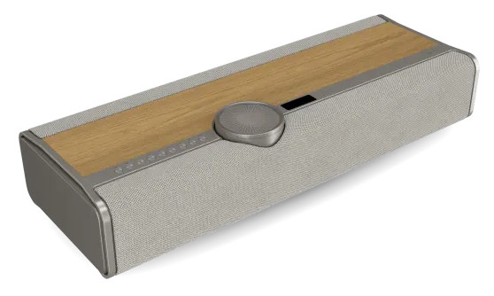 Auditorium Dali Vega Wireless Speaker  216621 - 1