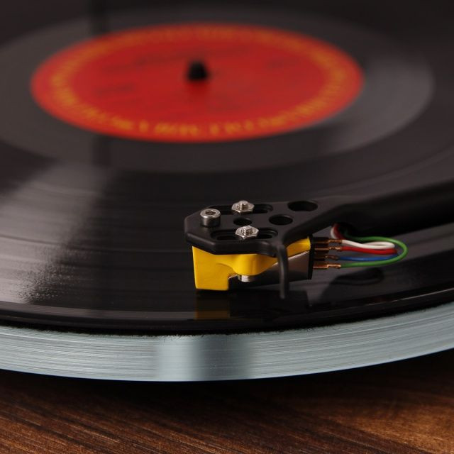 Auditorium Rega Planar 3 50th Anniversary Edition Walnuss 299763 - 5