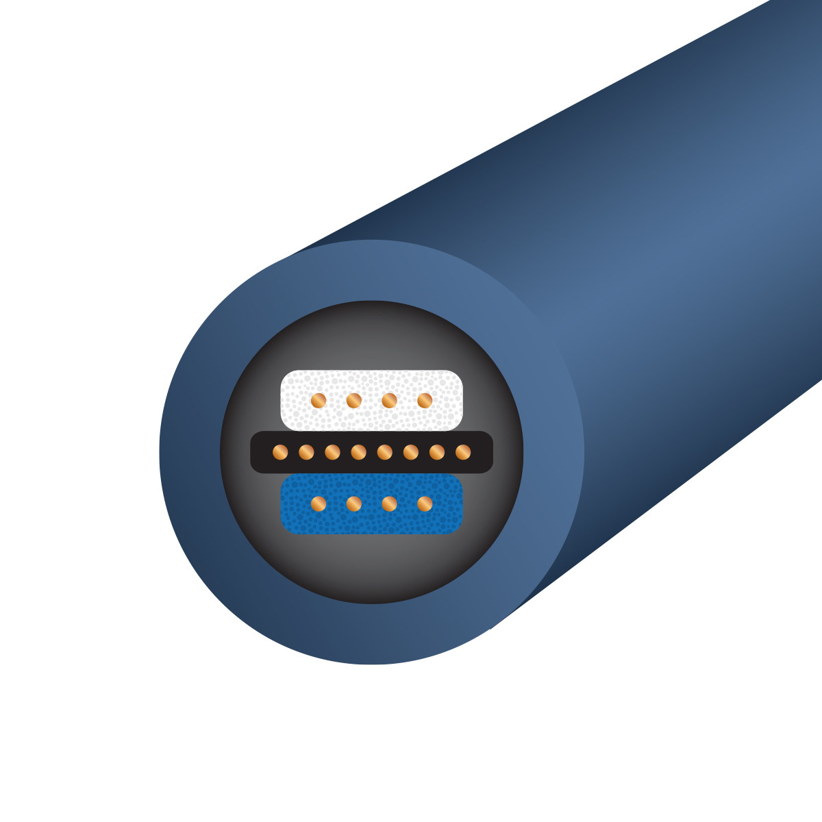 Auditorium Wireworld Cable Oasis 10 Interconnect XLR 208841 - 2