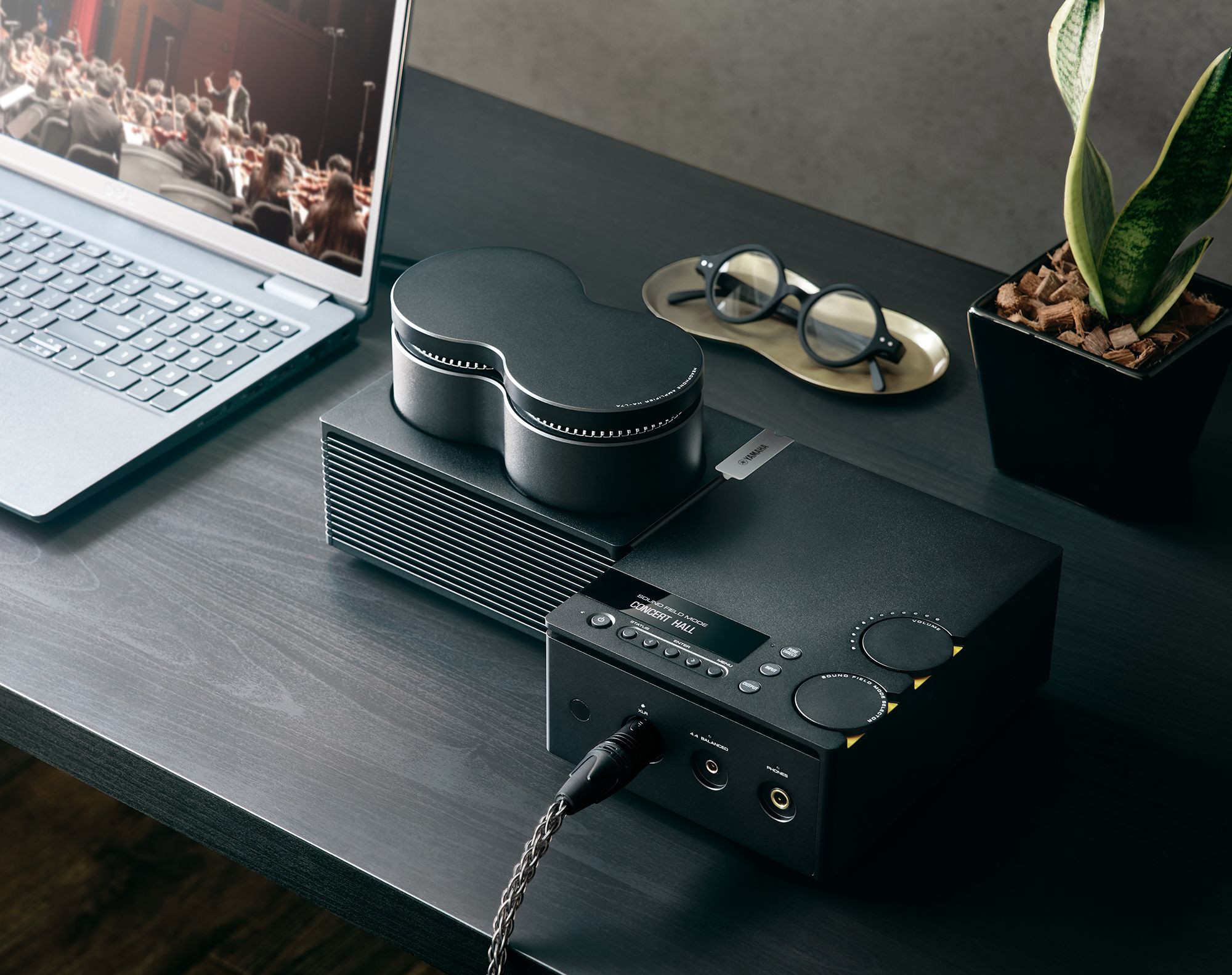 Auditorium Yamaha HA-L7A Kopfhörerverstärker mit DAC 299956 - 8