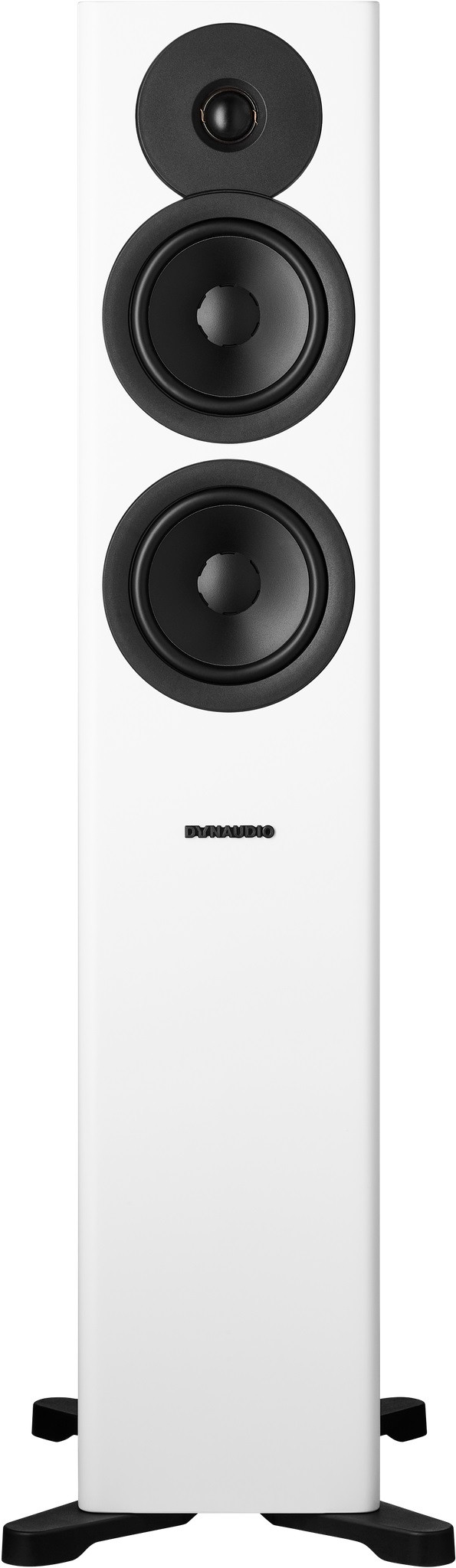 Auditorium Dynaudio Evoke 30  285459 - 1