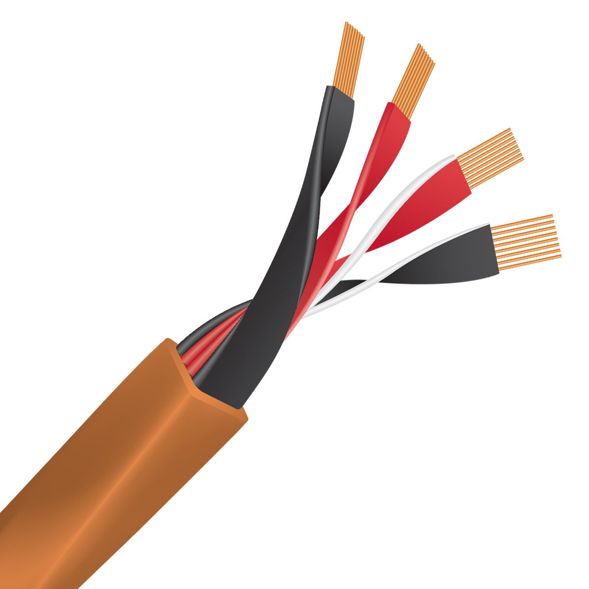 Auditorium Wireworld Cable Mini Eclipse 10 Lautsprecherkabel 207618 - 5