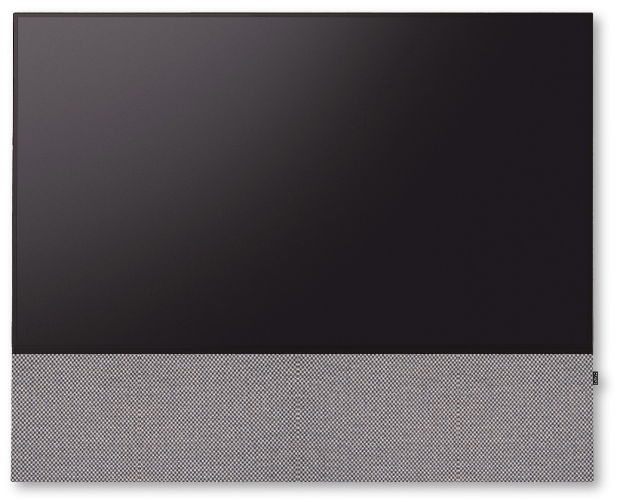 Auditorium Canvas Extra Front 75 Zoll + Converter Bracket 207135 - 1