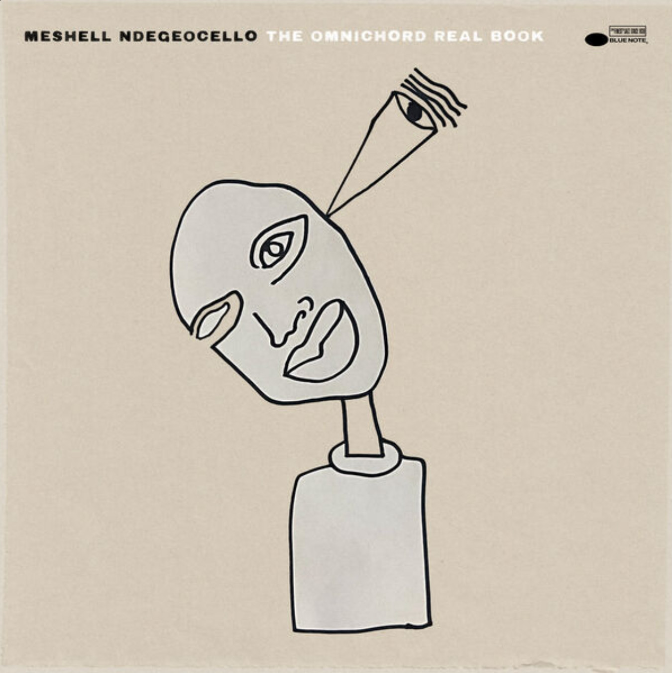 Auditorium Vinyl Meshell Ndegeocello The Omnichord Real Book 200825 - 1
