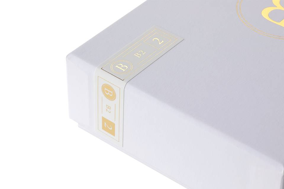 Auditorium Final B2 In Ear Kopfhörer 293356 - 5