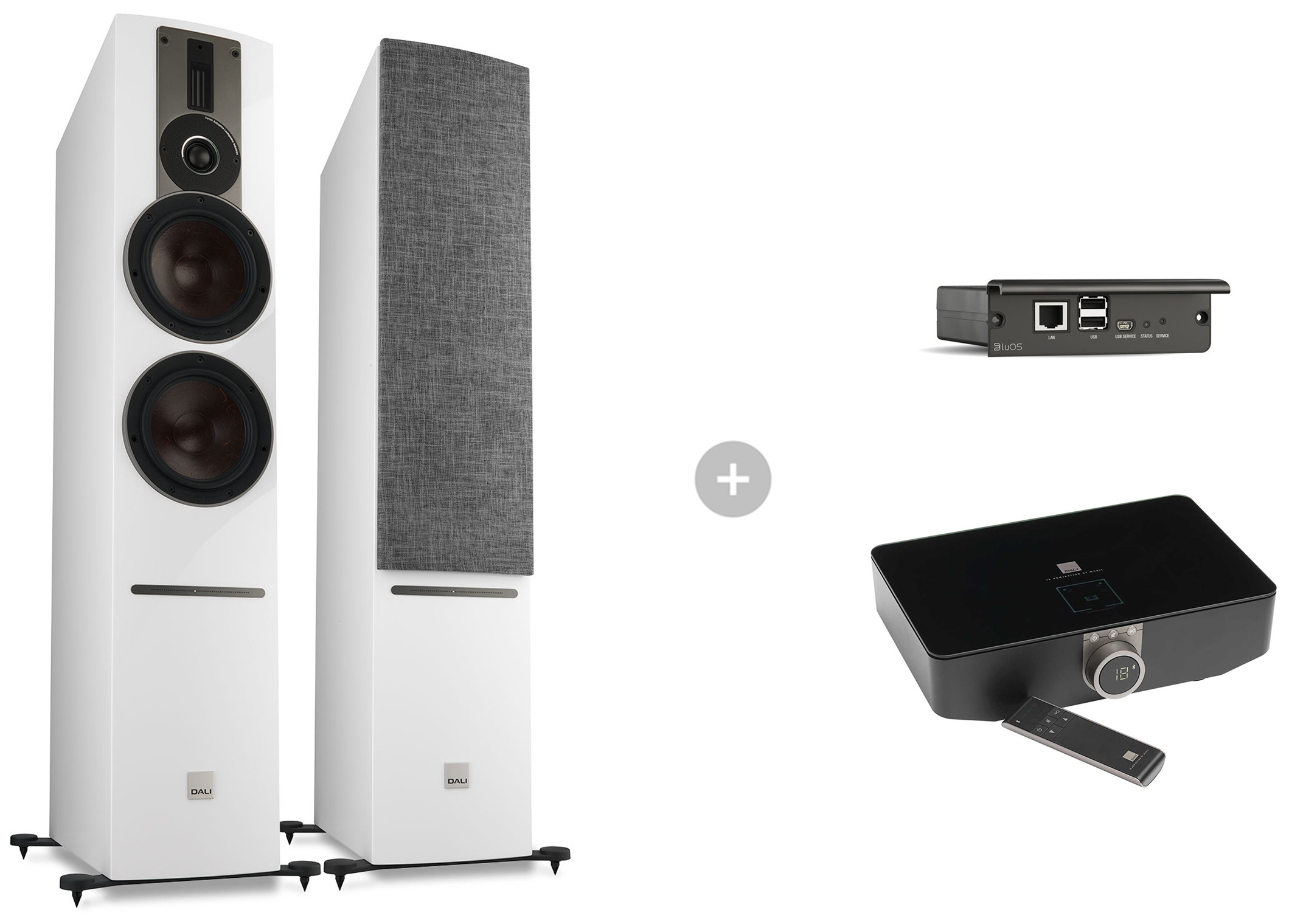 Auditorium Dali Rubicon 6C Standlautsprecher + BluOS SOUND HUB + 2i Modul 214288 - 1