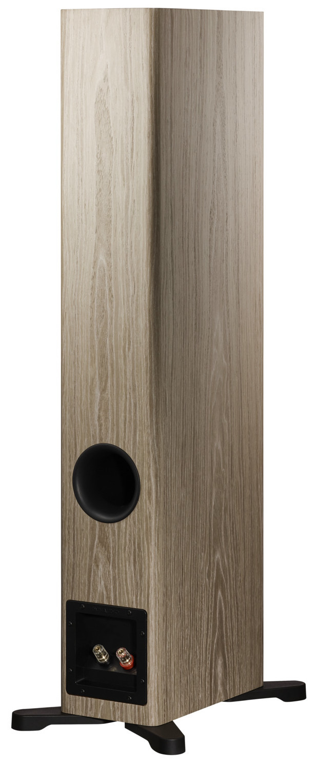 Auditorium Dynaudio Evoke 30  285463 - 5