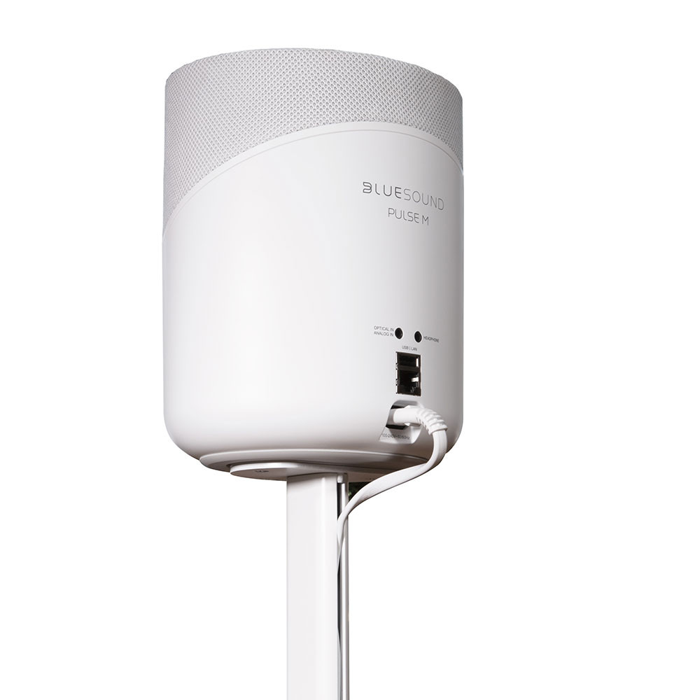 Auditorium BlueSound Floor Stand FS 230 Bodenständer für Pulse M 297227 - 4