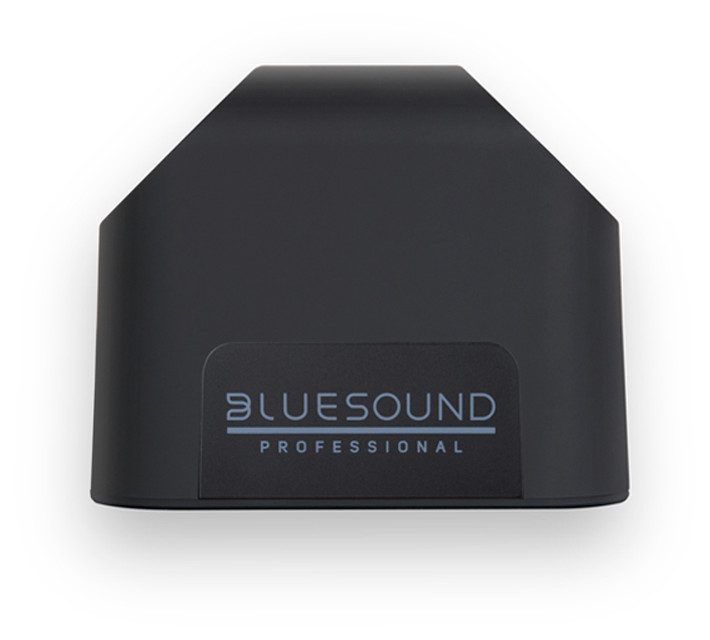 Auditorium Bluesound Professional BSP 125 Netzwerk Lautsprecher 298207 - 2