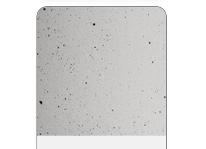 Auditorium Architettura Sonora Icarus Multistand Satellitenpaar ausrichtbar 298329 - 2