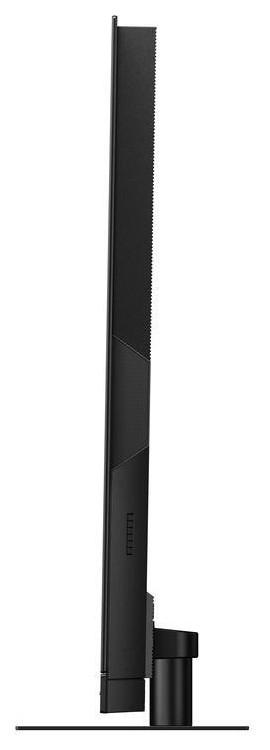 Auditorium Panasonic TX-77LZW2004 OLED-TV 2022 294086 - 7