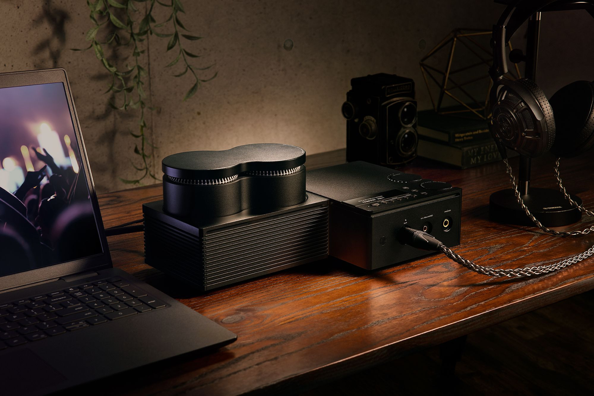 Auditorium Yamaha HA-L7A Kopfhörerverstärker mit DAC 299956 - 9