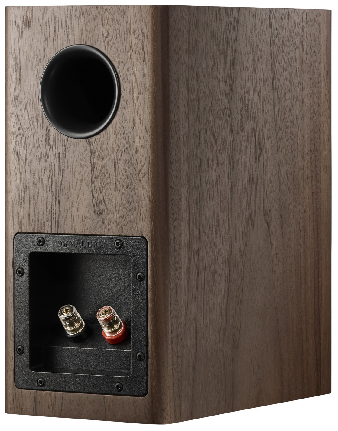Auditorium Dynaudio Evoke 10  211821 - 4