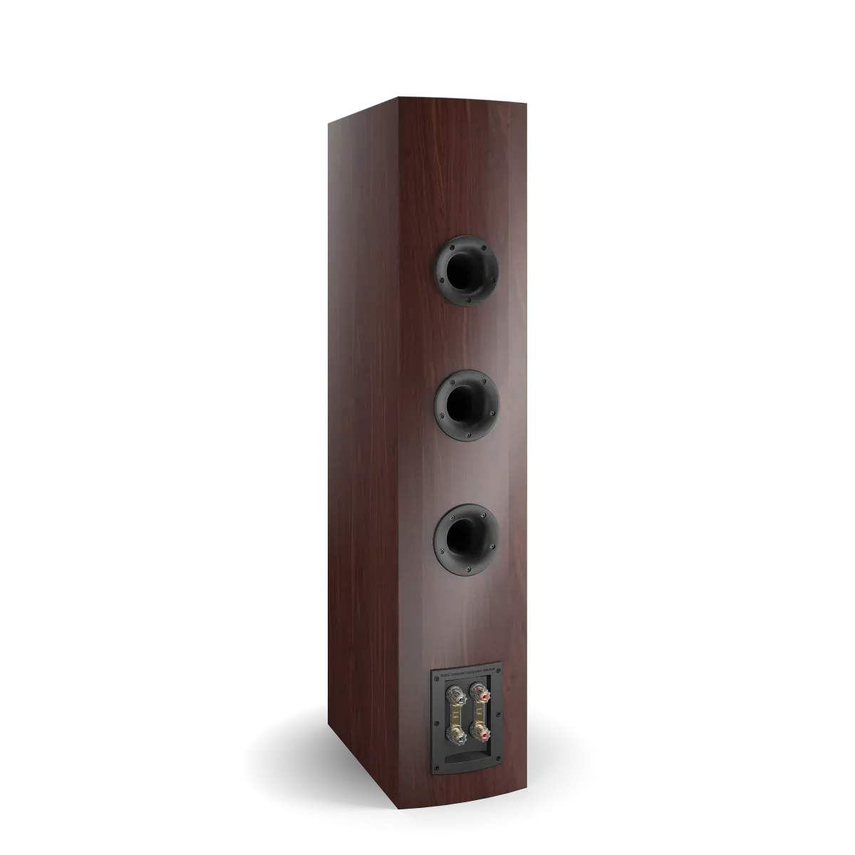 Auditorium Dali Rubicon 8 Standlautsprecher 202736 - 4