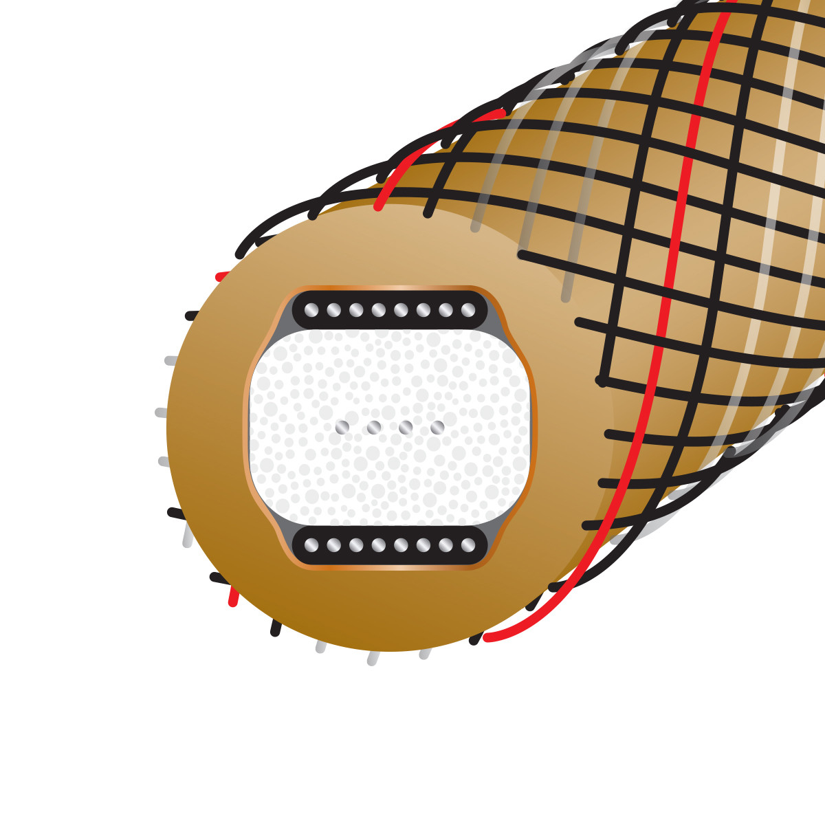 Auditorium Wireworld Cable Gold Starlight 10 Digital Audio RCA 75 Ohm 209079 - 4