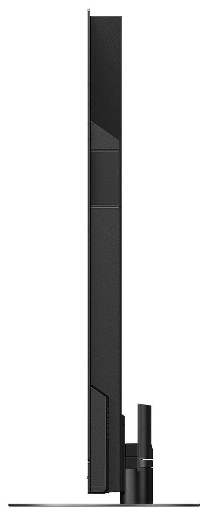 Auditorium Panasonic TX-65MZW2004 OLED-TV 2023 201901 - 7