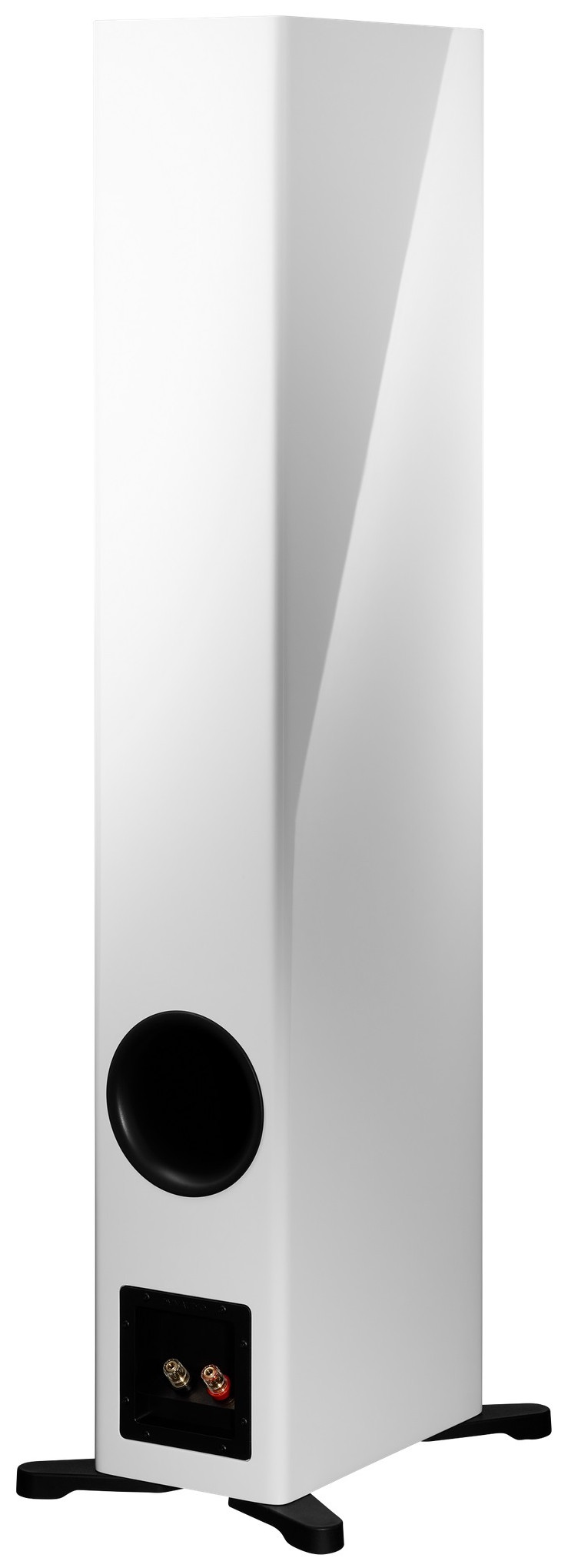 Auditorium Dynaudio Evoke 50  285465 - 5