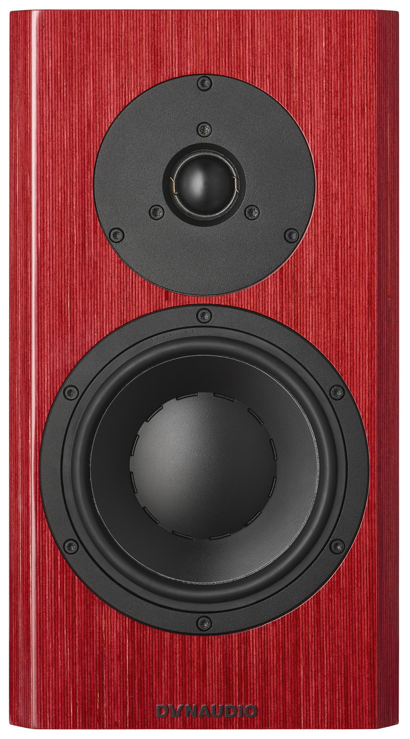 Auditorium Dynaudio Special Forty  283187 - 1