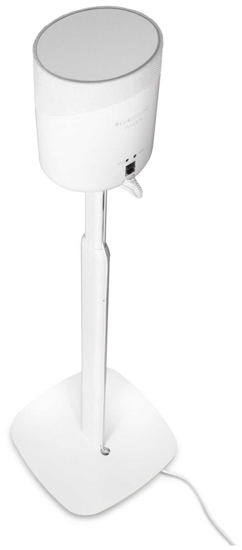 Auditorium BlueSound Floor Stand FS 230 Bodenständer für Pulse M 297227 - 5