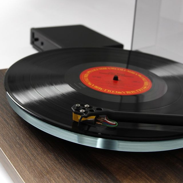 Auditorium Rega Planar 3 50th Anniversary Edition Walnuss 299763 - 4