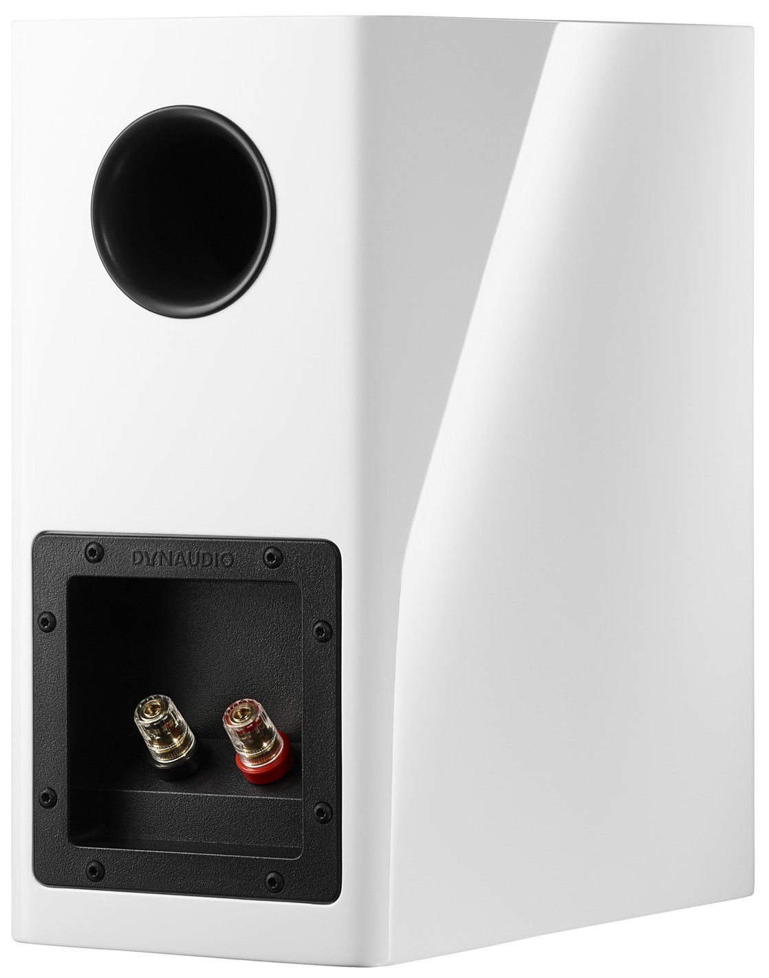 Auditorium Dynaudio Evoke 10  285452 - 5