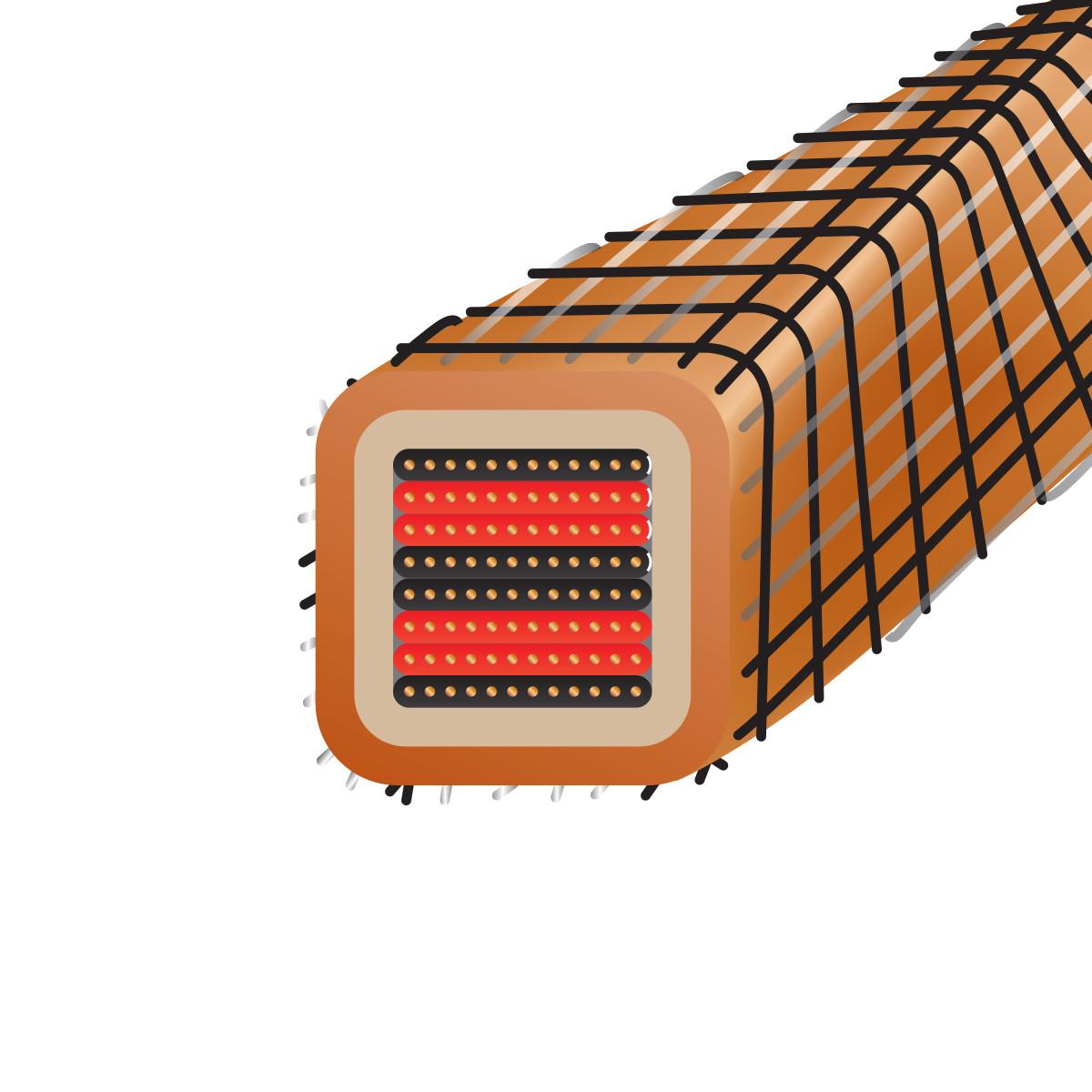 Auditorium Wireworld Cable Eclipse 10 Lautsprecherkabel 207623 - 4