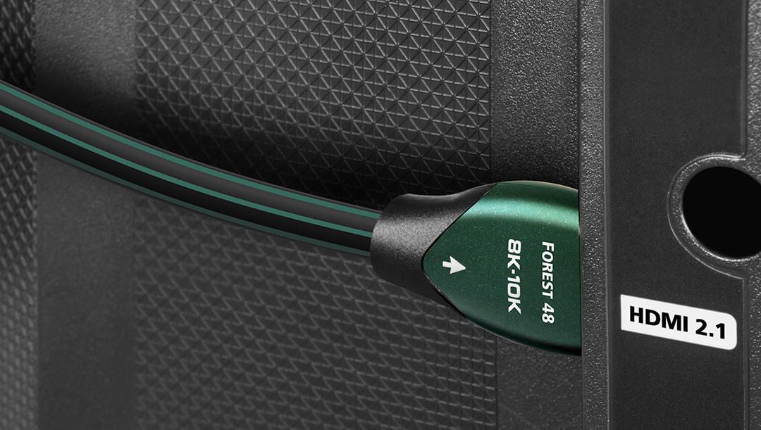 Auditorium Audioquest Forest 48G, HDMI Digital Audio/ Video Ethernet 289800 - 2