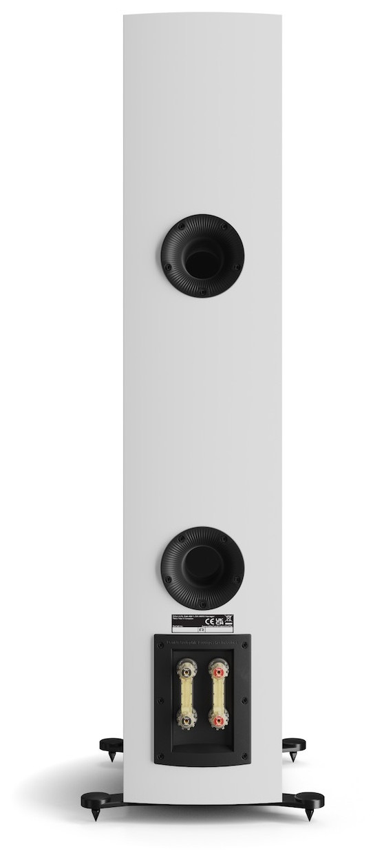 Auditorium Dali Rubikore 6 Standlautsprecher 204827 - 5