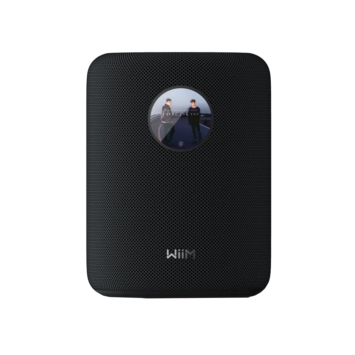 Auditorium WiiM Sound Aktiver Kompaktlautsprecher 213594 - 1