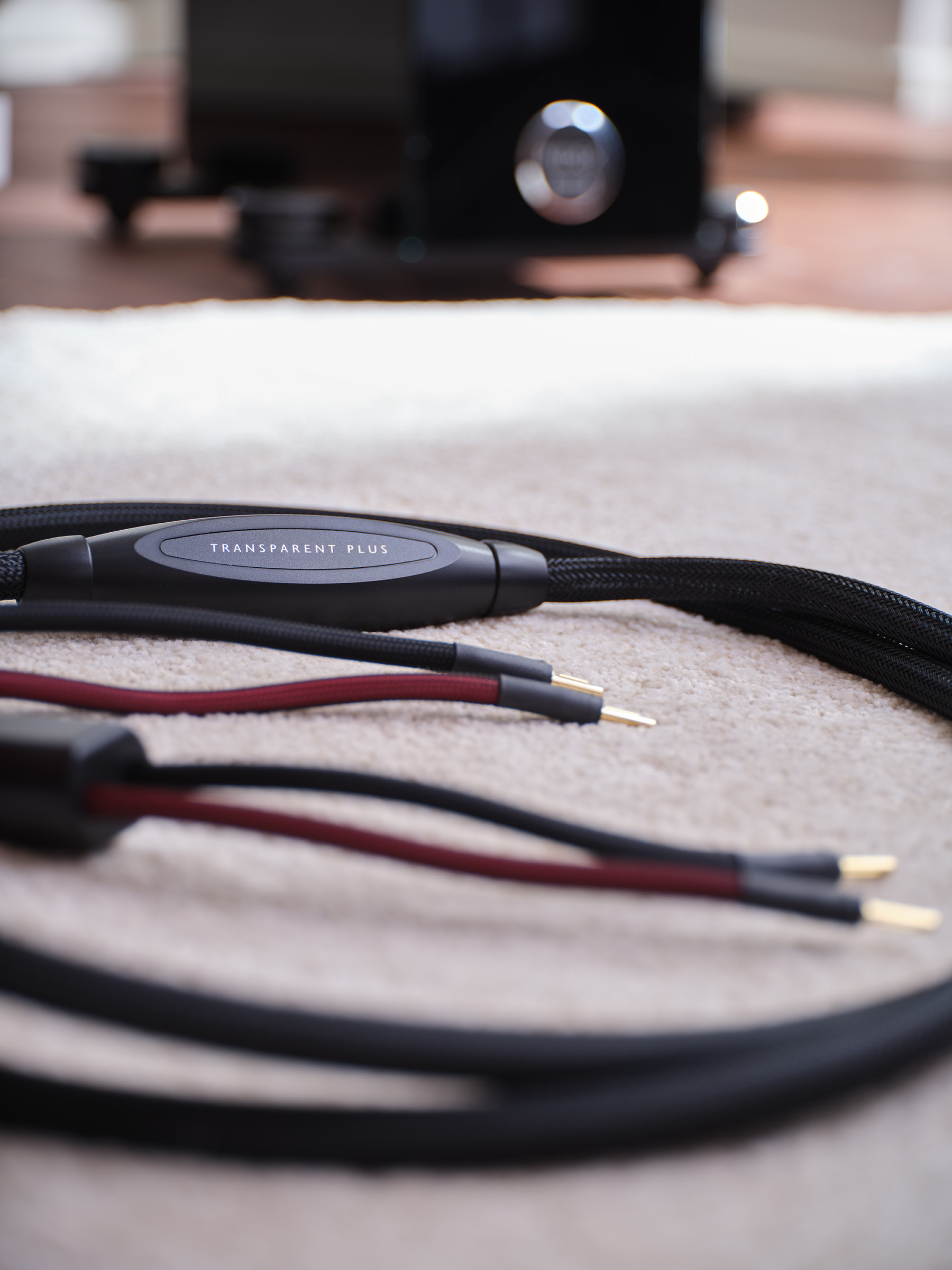 Auditorium T+A R 2500R mit Audio Physic Midex Powertrain & Transparent Kabel 206782 - 5