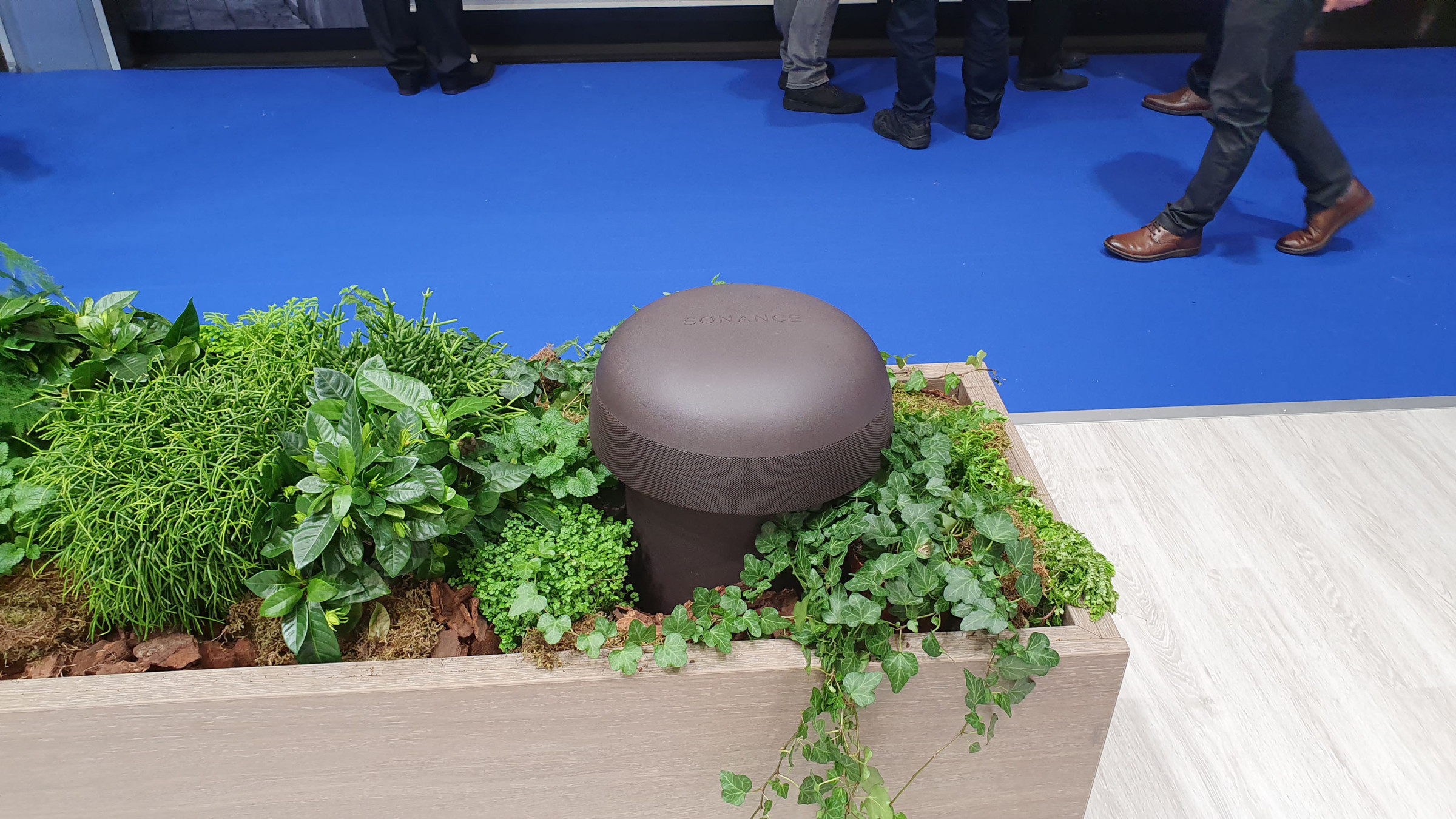 Auditorium Sonance Omni 6 T 360 Grad Outdoor Gartenlautsprecher 287948 - 5