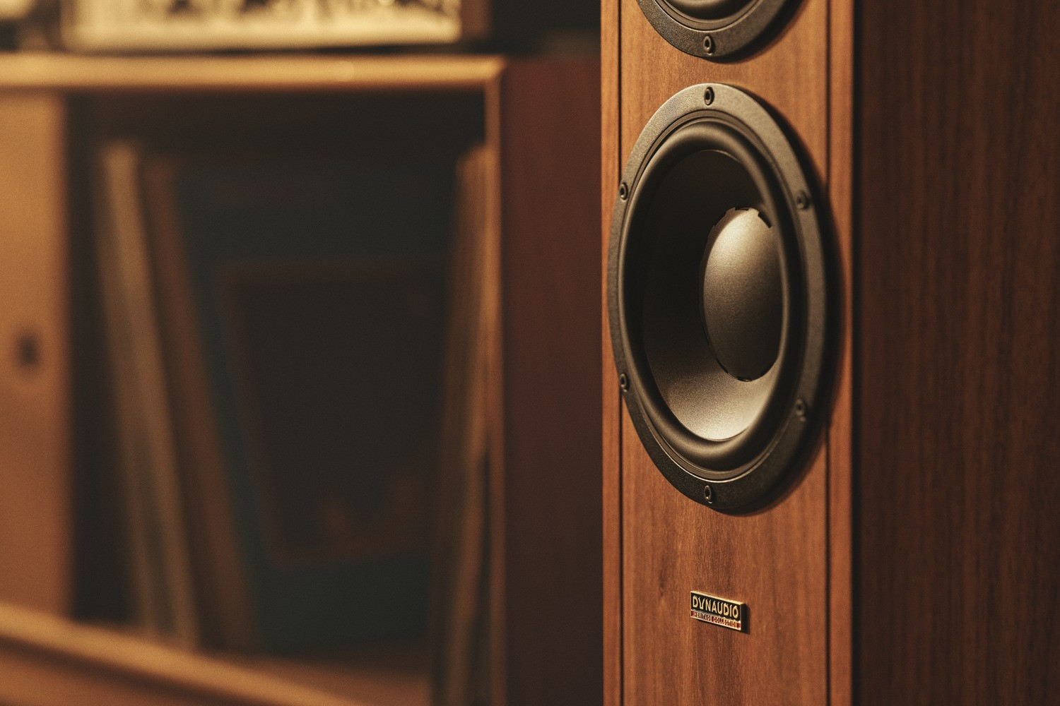 Auditorium Dynaudio Contour Legacy Standlautsprecher 204692 - 9