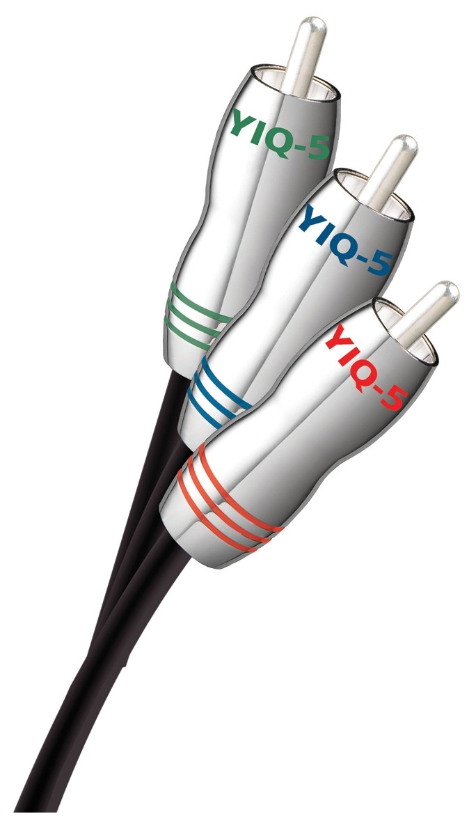 Auditorium Audioquest YIQ-5 RCA  265750 - 1