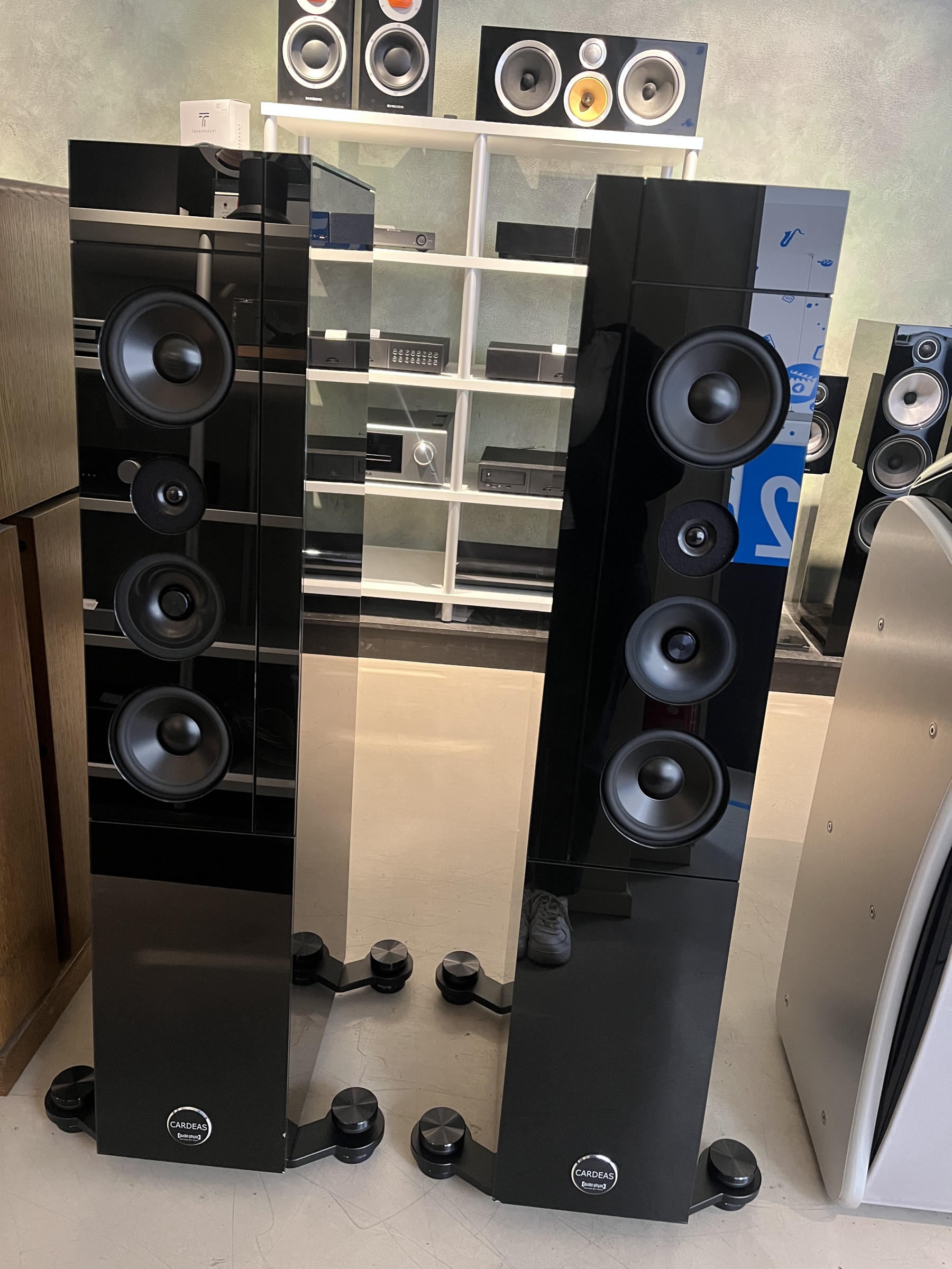 Auditorium audio physic Cardeas V Powertrain Bi-Wire  215350 - 1