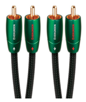 Auditorium Audioquest Evergreen RCA/RCA  260208 - 1