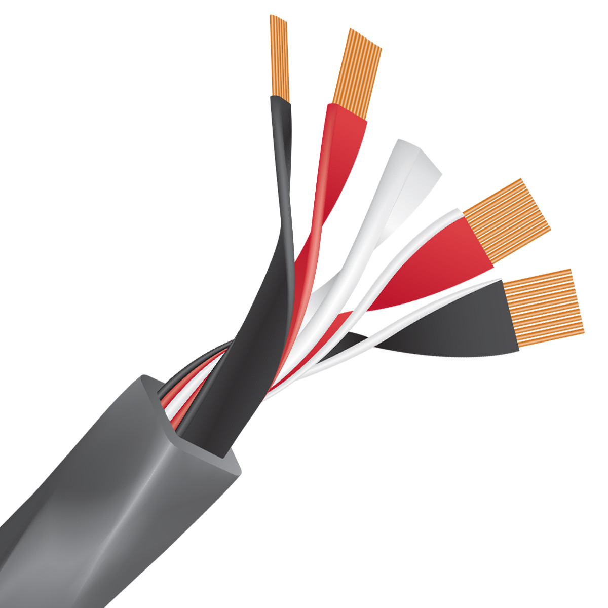 Auditorium Wireworld Cable Equinox 10 Lautsprecherkabel 207613 - 4