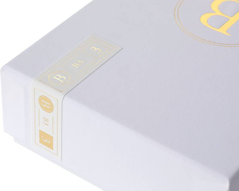 Auditorium Final B3 In Ear Kopfhörer 293357 - 5