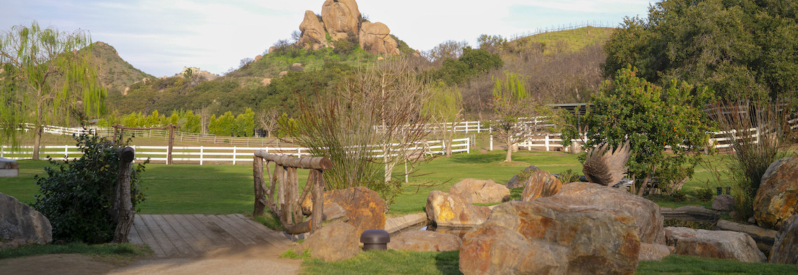 Auditorium Sonance Omni 6 T 360 Grad Outdoor Gartenlautsprecher 287948 - 6