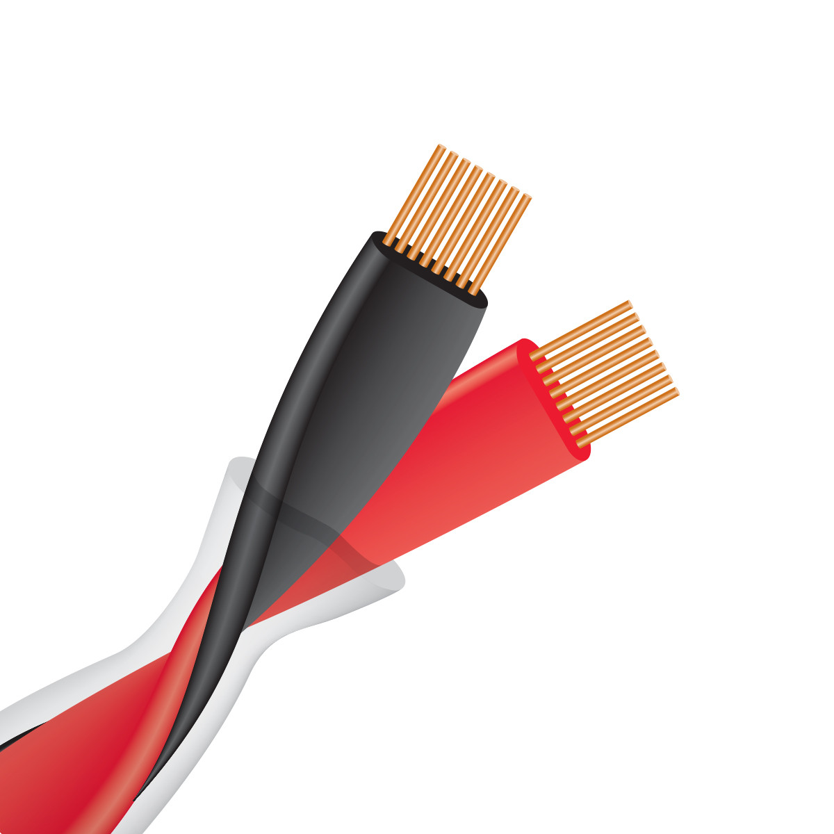 Auditorium Wireworld Cable Helicon 16x OFC Lautsprecherkabel 200202 - 3