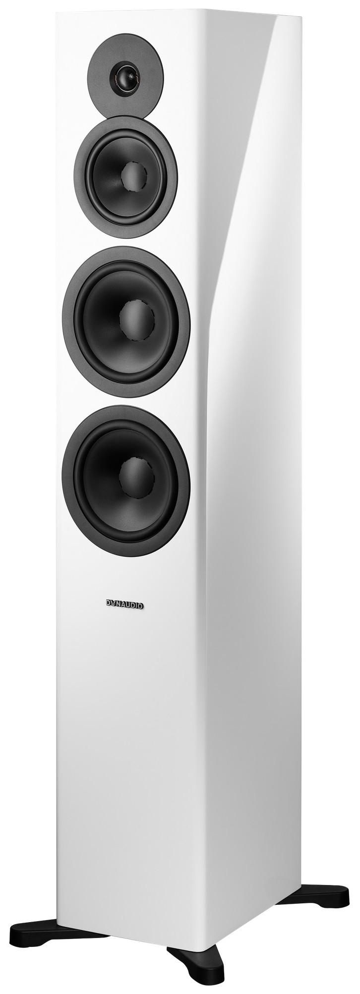 Auditorium Dynaudio Evoke 50  285465 - 3